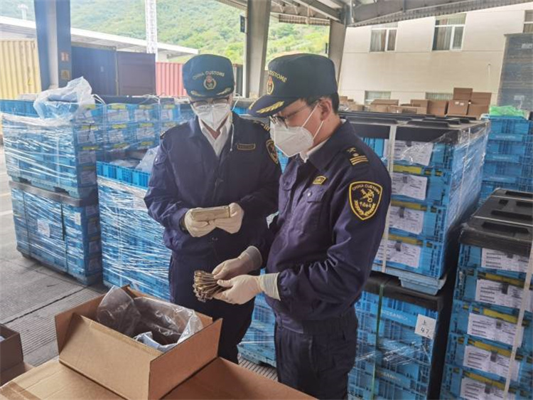 Fremme utenrikshandel for å sikre stabilitet og forbedre kvaliteten Ningbo Customs utstedt 20 