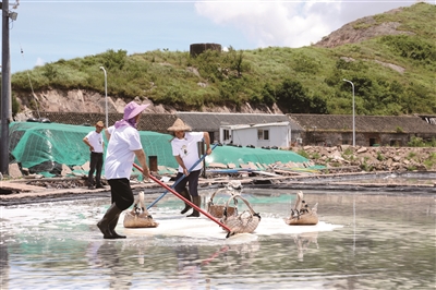 Den første i provinsen! Xiangshan Gaotang Island by havsalt tørking ikke genetisk lager institutt åpnet