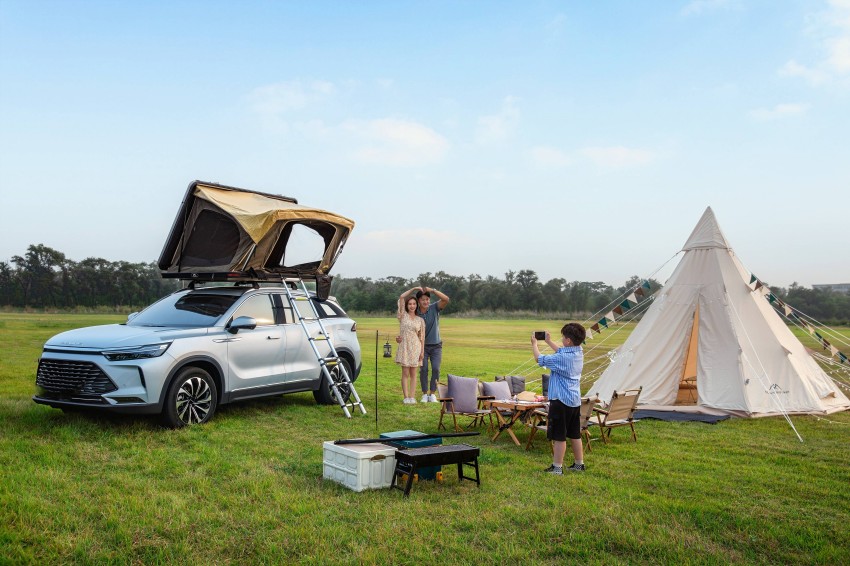 La verden omfavne camping